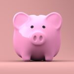 Negative savings interest