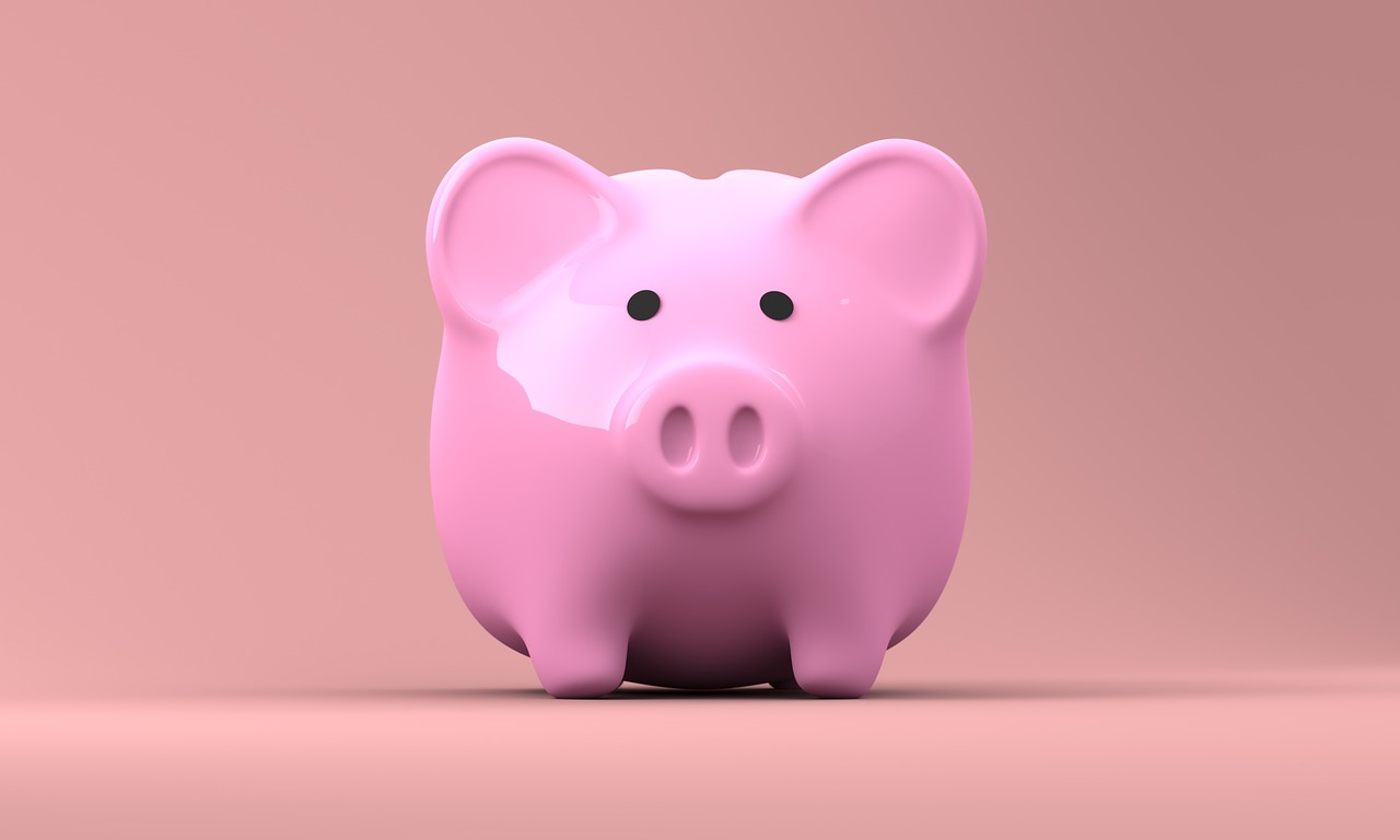 Negative savings interest