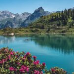 income in swiss franc switzerland-chz