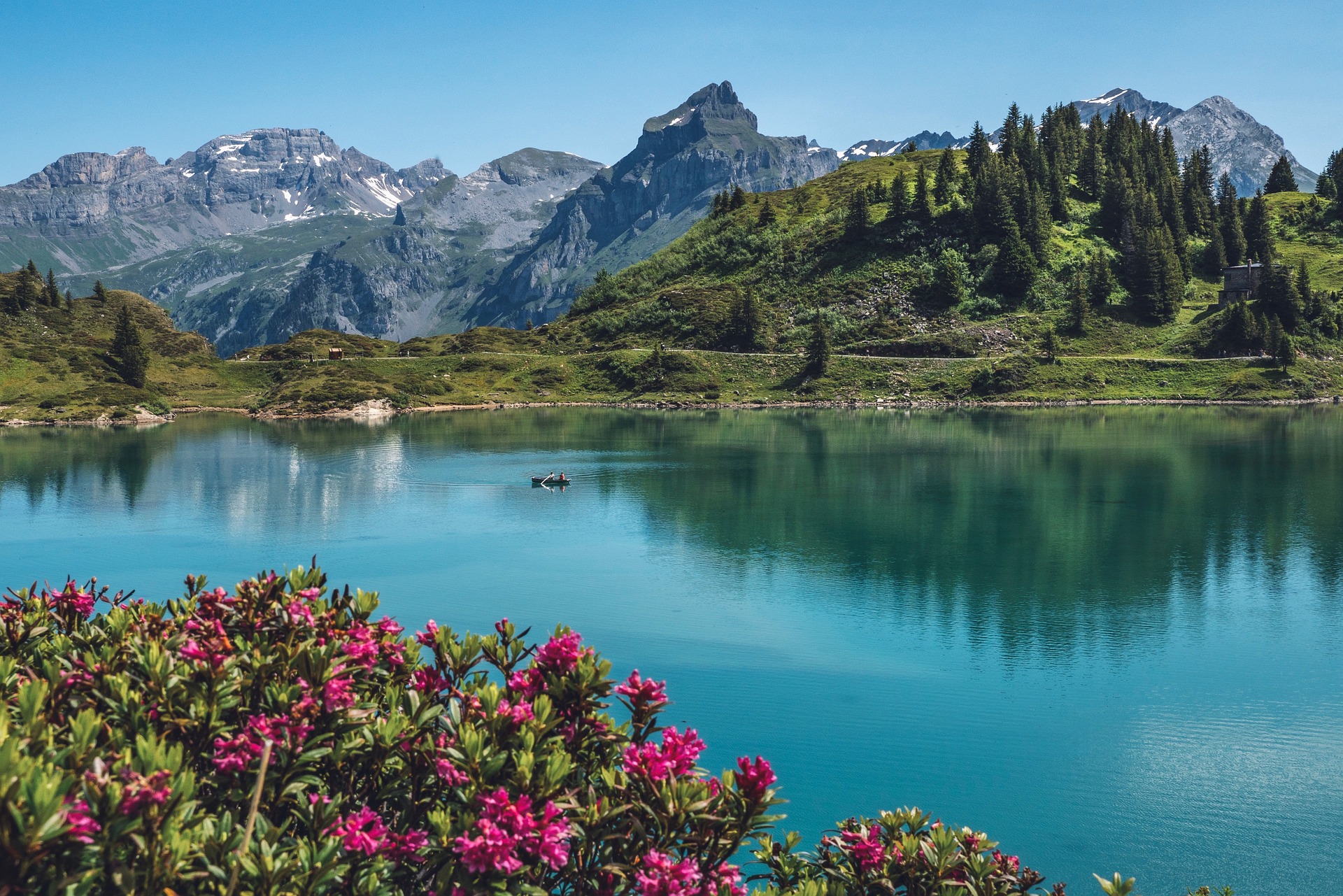 income in swiss franc switzerland-chz